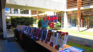 Laura with the outdoor book display